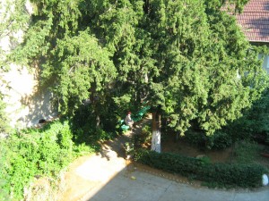 OldAgeHome12 